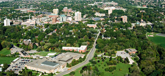 leather cleaning Brampton