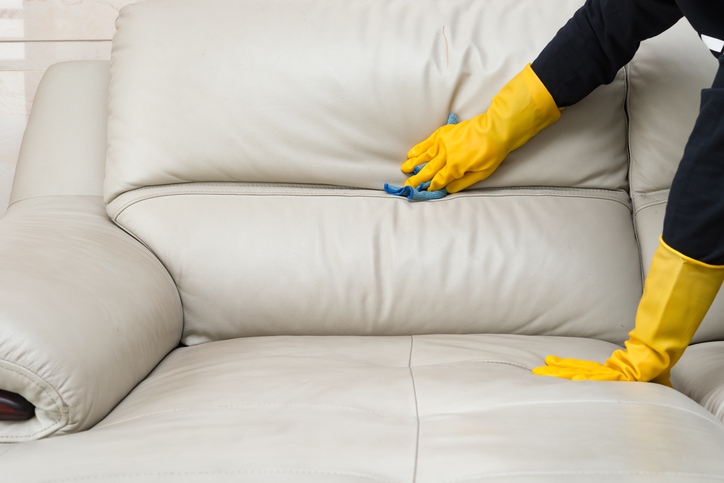 Cleaning leather sofa