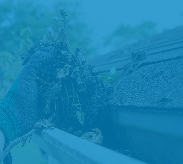 gutter cleaning edmonton cost