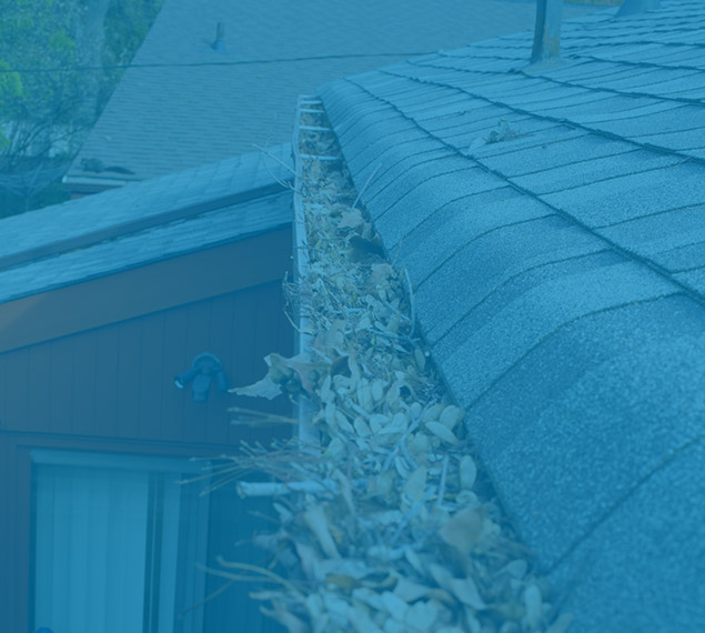 cleaning rain gutters