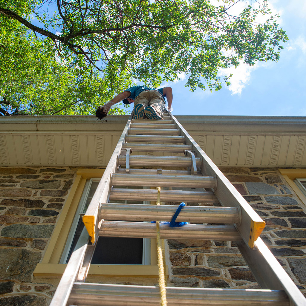 Factors Frequency of Your Gutter Cleaning