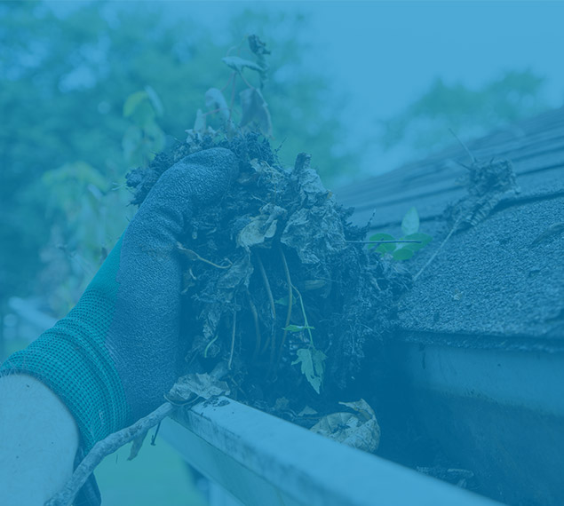 gutter cleaning near me