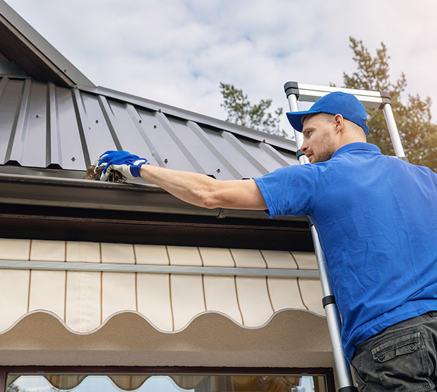 gutter cleaning near me