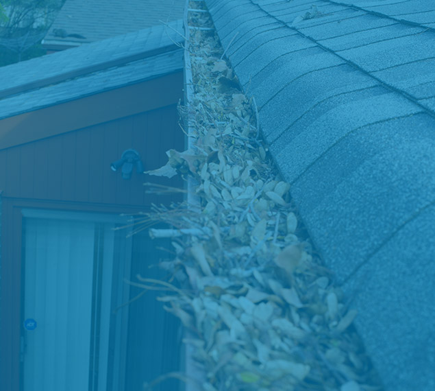 gutter cleaning price