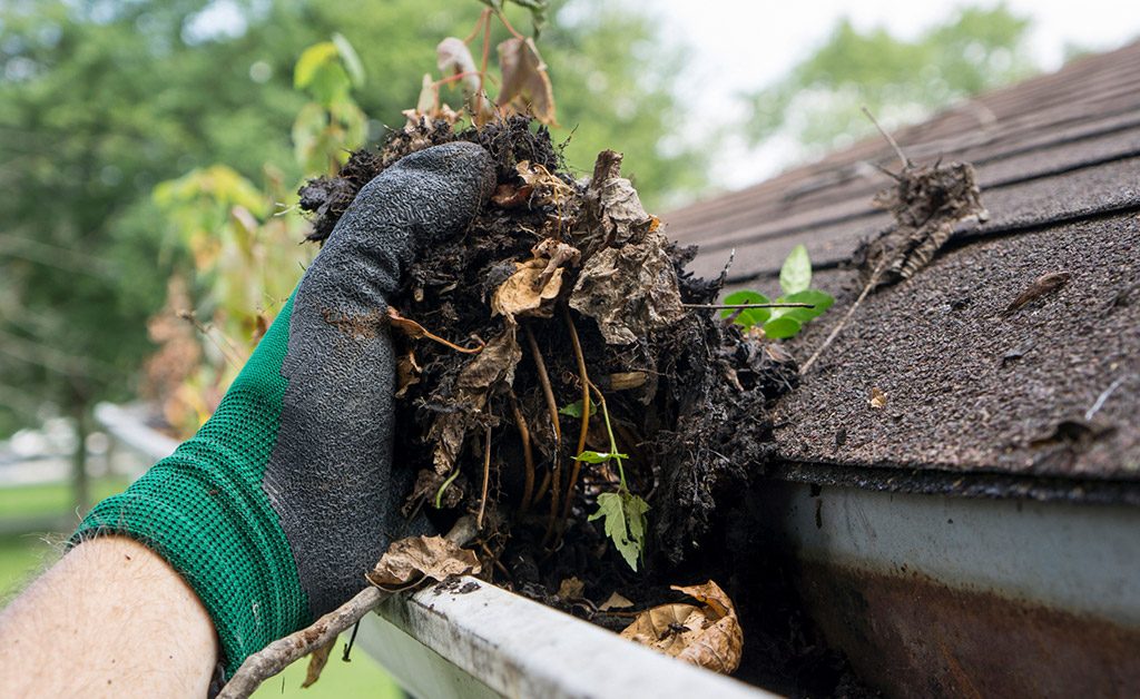 How Often You Should Clean Your Gutters in Calgary Cochrane & Edmonton