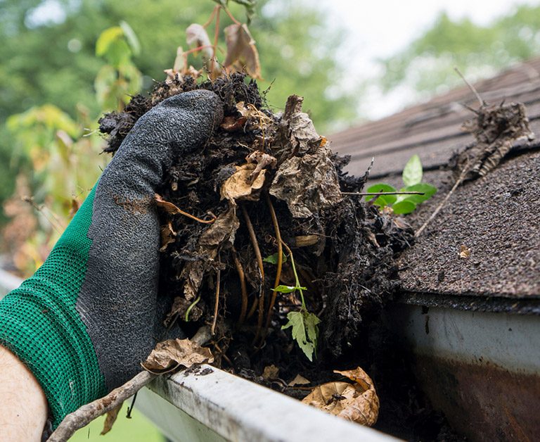 How Often You Should Clean Your Gutters in Calgary Cochrane & Edmonton