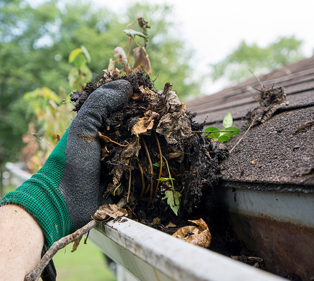 Rain Gutter Cleaning Services