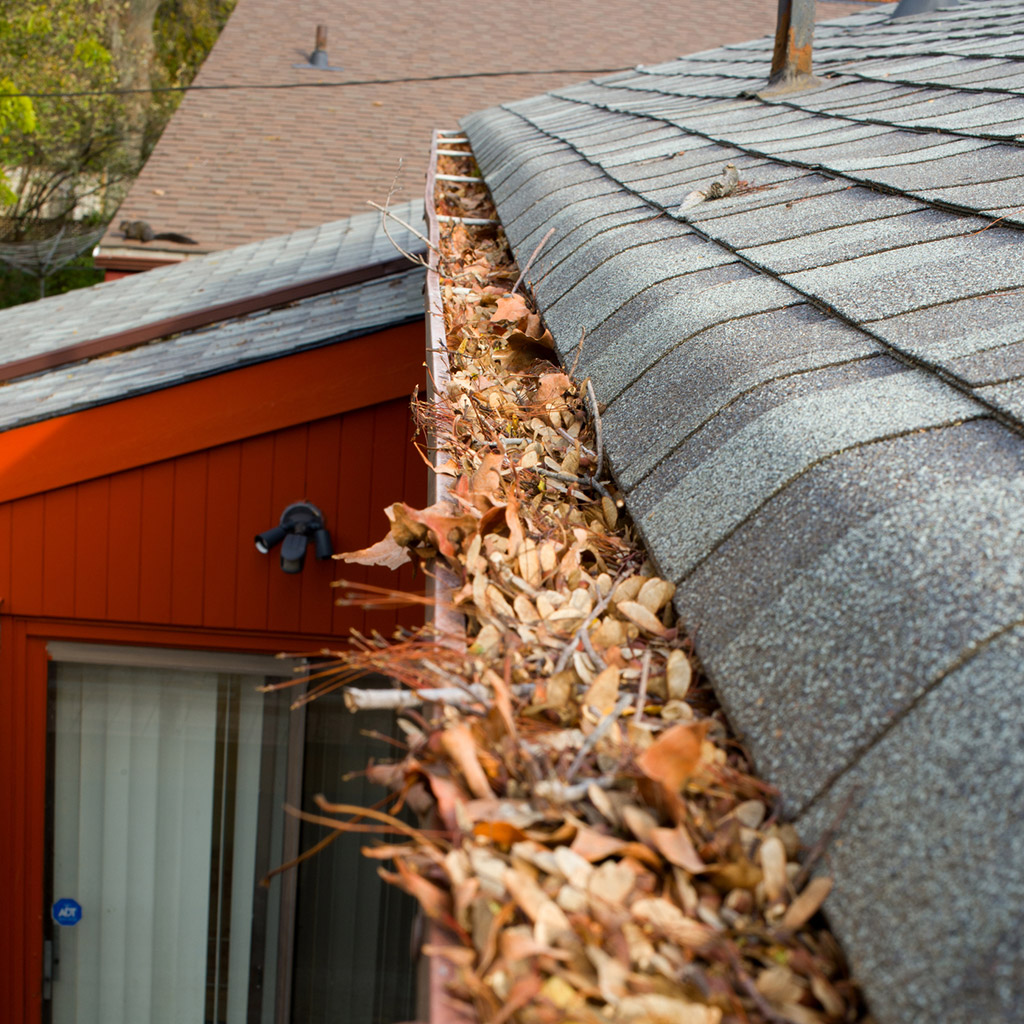 Signs That You Need to Clean Your Gutters in Calgary Cochrane & Edmonton