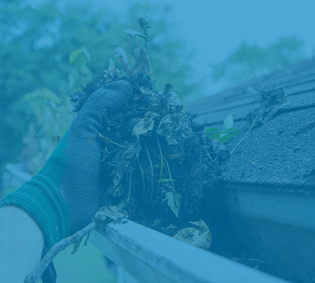 gutter cleaning price