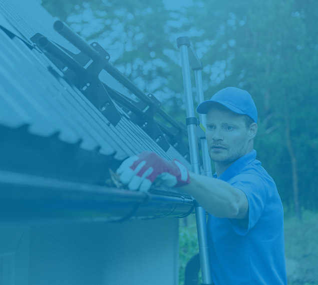 gutter cleaning