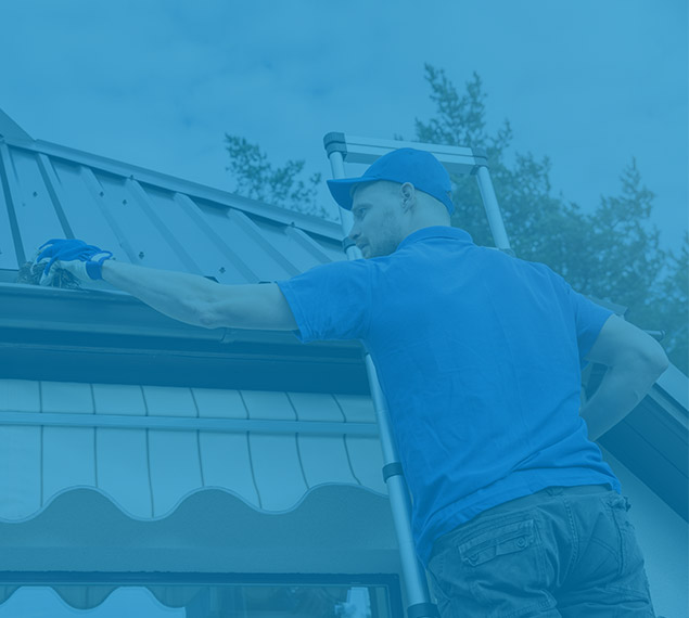 gutter cleaning