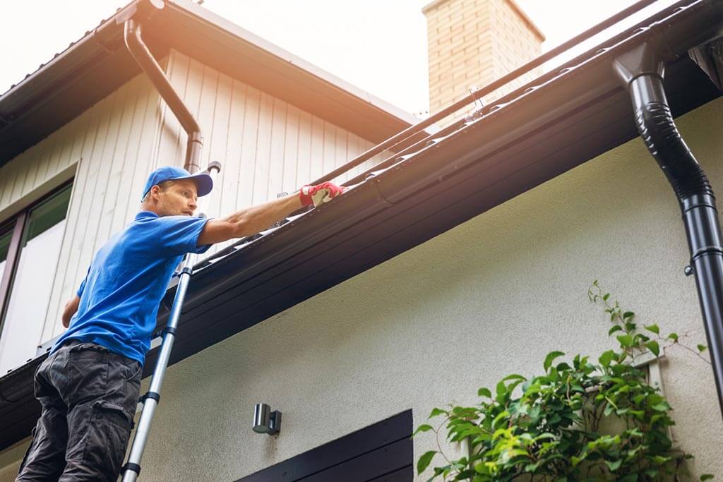 Ladder Based Gutter Cleaning Technique