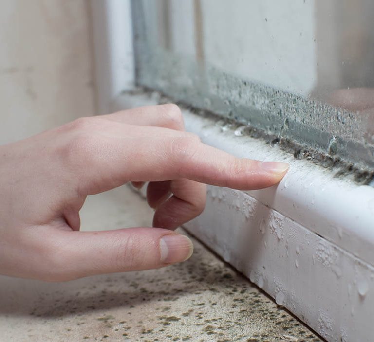 How to Get Rid of Mold On Window Sills